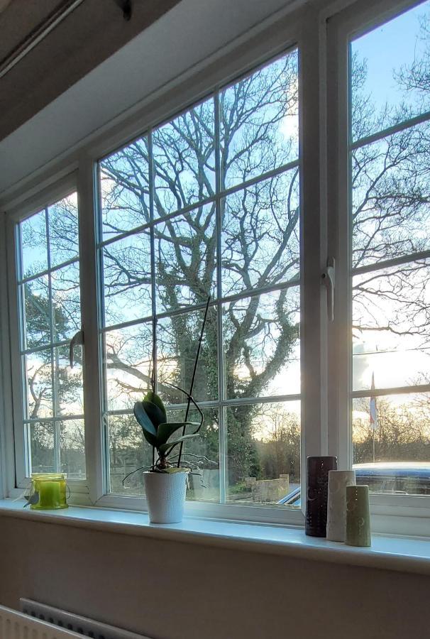 Bed and Breakfast Ha'Penny Acre Sherfield English Екстер'єр фото